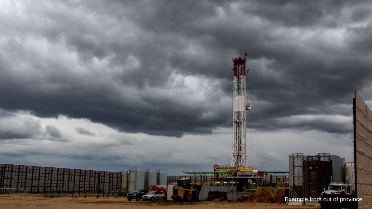 “Dear Dal, I don’t want this” | The Dalhousie&nbsp;Gazette